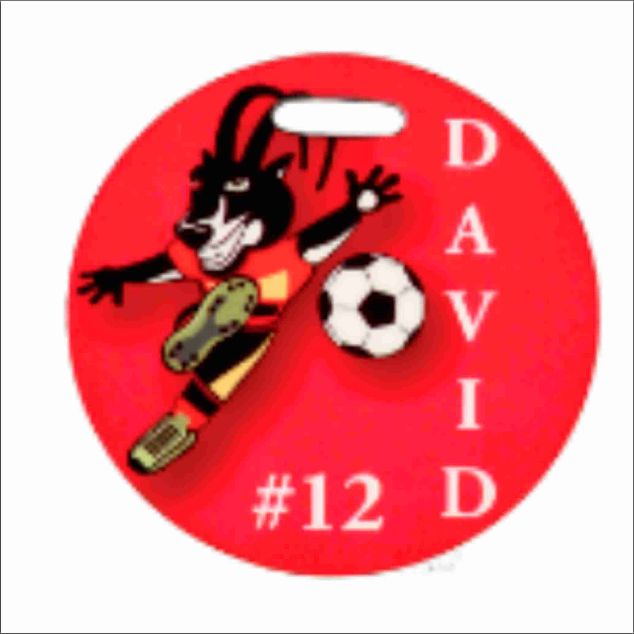 Luggage Tags - Photo Applied on FRP - Image 6