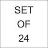 Set of 24