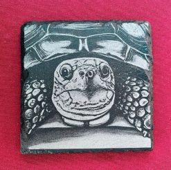 Slate Coasters - Emerging Turtle